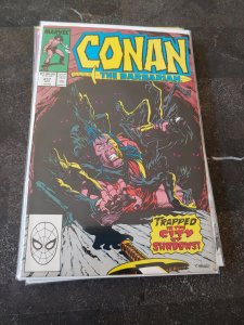 Conan the Barbarian #217 (1989)