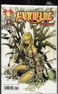 Witchblade #106 (2007) Witchblade