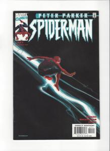 13 Spider-Man Comics Hi Grade Peter Parker Amazing