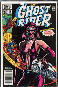 Ghost Rider #75 (1982) Ghost Rider