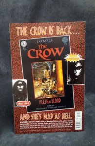 Crow: Dead Time #3 (1996)