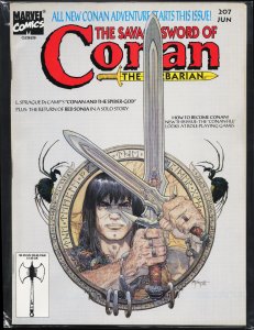 The Savage Sword of Conan #207 (1993) Conan