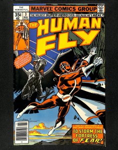 Human Fly #3