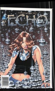 ECHO #2 (2008) Julie Martin