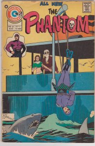 Phantom #66
