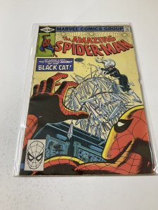 Amazing Spider-Man 205 Vg Very Good 4.0 Marvel Comics