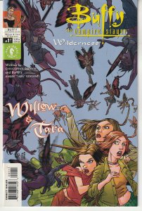 Buffy the Vampire Slayer: Willow and Tara -- Wilderness #1 (2002)