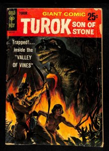 Turok, Son of Stone Giant #1