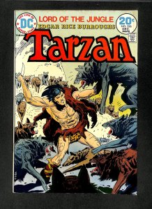 Tarzan #226