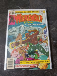 Werewolf by Night #39 (1976) BROTHER VOODOO ISSUE! 1ST TEAM-UP!
