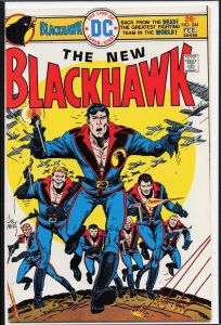 Blackhawk #244 (1976)