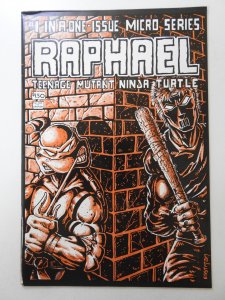 Raphael Teenage Mutant Ninja Turtle (1985) Sharp VF Condition!! 1st Casey Jones!