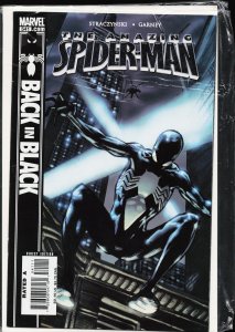 The Amazing Spider-Man #541 (2007)