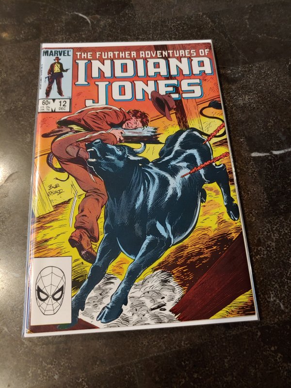 The Further Adventures of Indiana Jones #12 (1983)