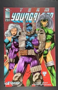 Team Youngblood #4 (1993)