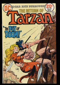 Tarzan of the Apes #223 NM 9.4