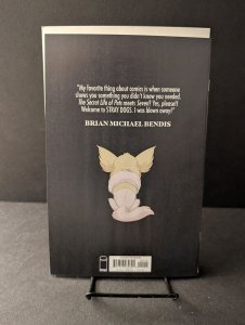 Stray Dogs #1 5th Printing Trish Forstner and Tony Fleecs Cover (2021)