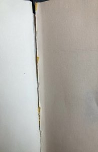 The star trek reader III,blish,1977, minor binding issue