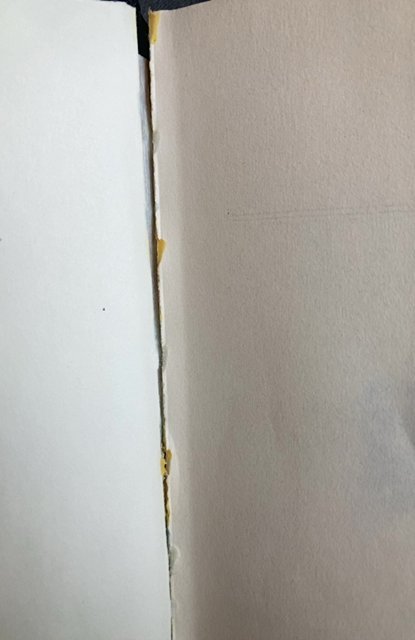 The star trek reader III,blish,1977, minor binding issue