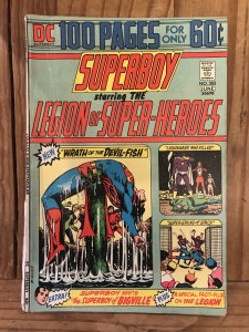 Superboy #202 (1974)   100 Pages