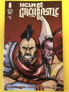 Helm Greycastle #3 (2021) NM / VF+