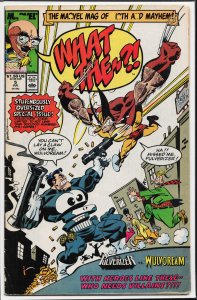 What The--?! #5 (1989) Pulverizer