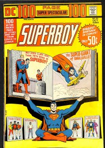 DC 100-Page Super Spectacular #21 (1973)