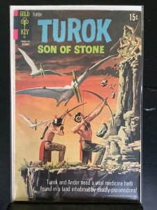 Turok, Son of Stone #75 (1971)