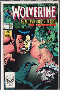 Wolverine #11 (1989) Wolverine