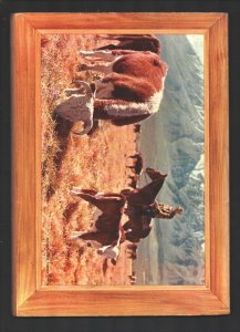 Western Roundup #3  1953 - Dell  -VG - Comic Book