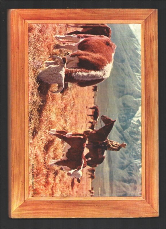 Western Roundup #3  1953 - Dell  -VG - Comic Book