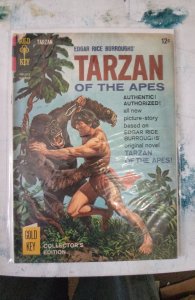 Edgar Rice Burroughs' Tarzan #155 (1965)
