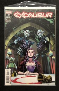 Excalibur #24