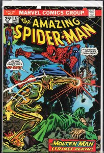 The Amazing Spider-Man #132 (1974) Spider-Man