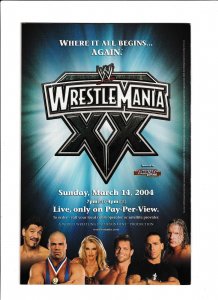 CATWOMAN #29 (2004) PAUL GULACY | DIRECT SALES | 1ST PRINT