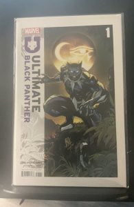 Ultimate Black Panther #1 (2024)