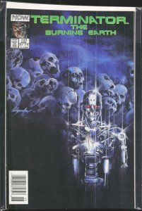The Terminator: The Burning Earth #4 (1990) The Terminator