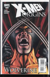 X-Men Origins: Wolverine (2009) Wolverine