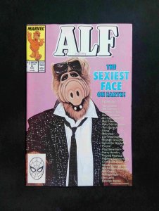 ALF #6  MARVEL Comics 1988 VF/NM