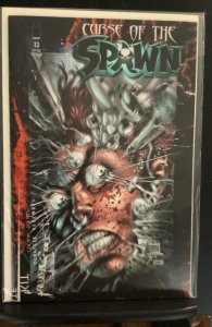 Curse of the Spawn #13 (1997)