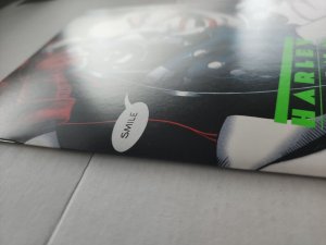 HARLEY QUINN VOL 4 ISSUE 21 TASK FORCE XX PART 4 RYAN SOOK HOMAGE VARIANT