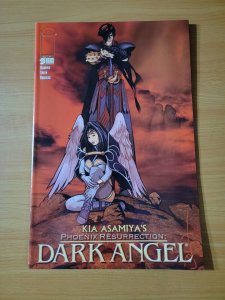 Dark Angel: Phoenix Resurrection #3 Van Fleet Cover ~ NEAR MINT NM ~ 2001 Image