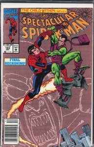 The Spectacular Spider-Man #183 (1991) Spider-Man