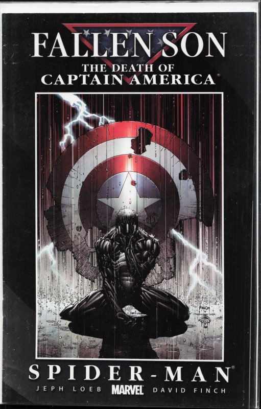 Fallen Son: The Death of Captain America #4 (2007) Spider-Man