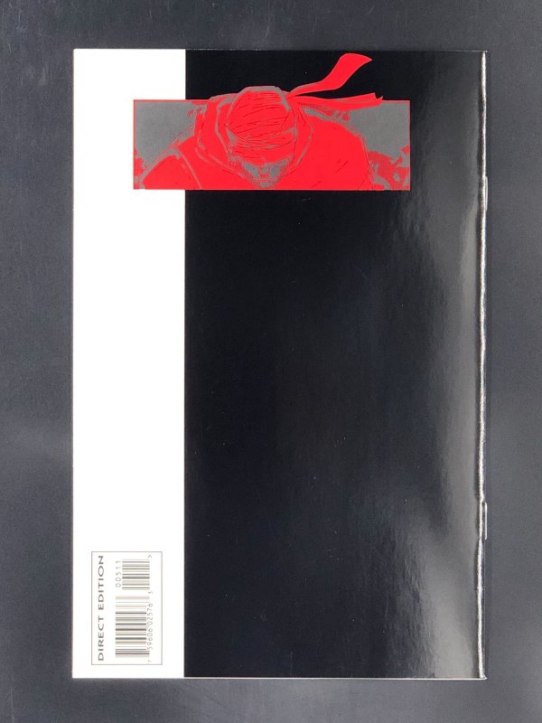 Daredevil: The Man Without Fear #5 (1994)