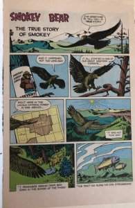 True Story of Smokey Bear #1 (1960)