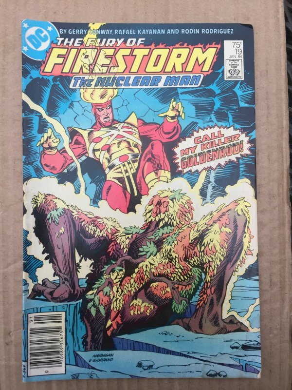 The Fury of Firestorm #19 (1984)