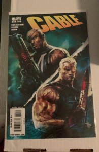 Cable #18 (2009)