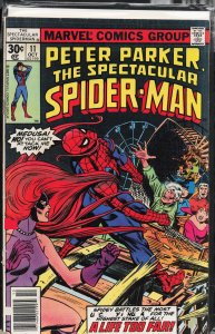 The Spectacular Spider-Man #11 (1977) Spider-Man