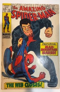 The Amazing Spider-Man #73 (1969) FN